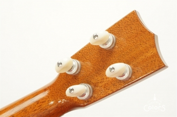 ECO-S - Spruce Top / Rosewood Side&Back